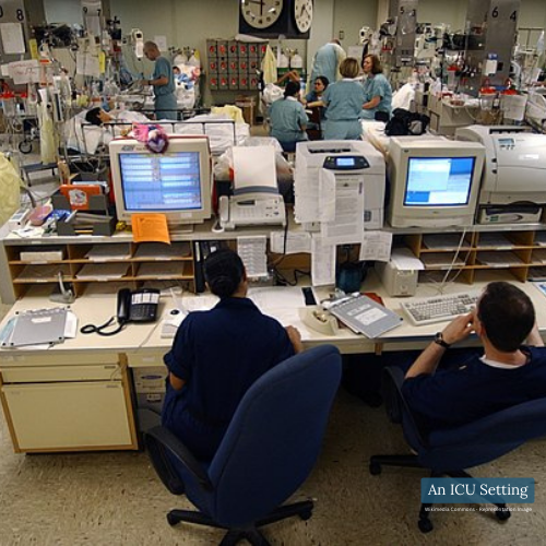 US Navy 030423-N-6967M-090 A central computer system monitors the heart rates of each patient in the Intensive Care Unit (ICU) to ensure a quick.