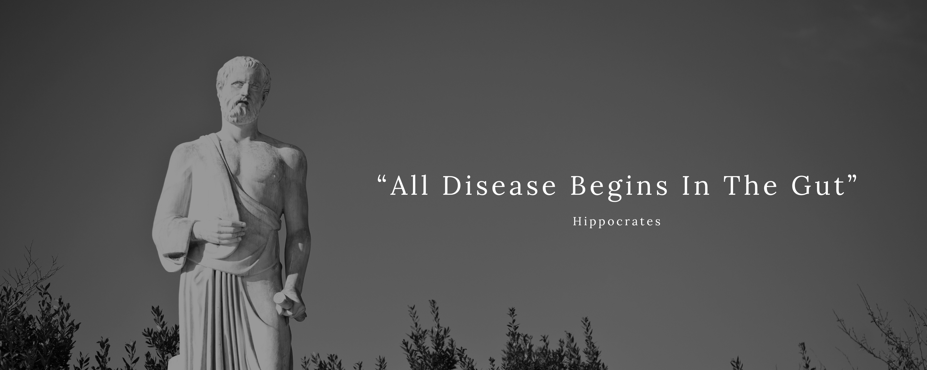 “All Disease Begins In The Gut”