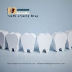 Tooth regeneration pill