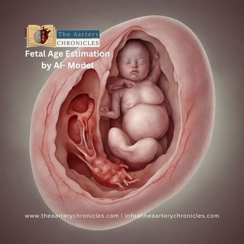 AI Model Garbhini-GA2: Advancing Fetal Age Estimation