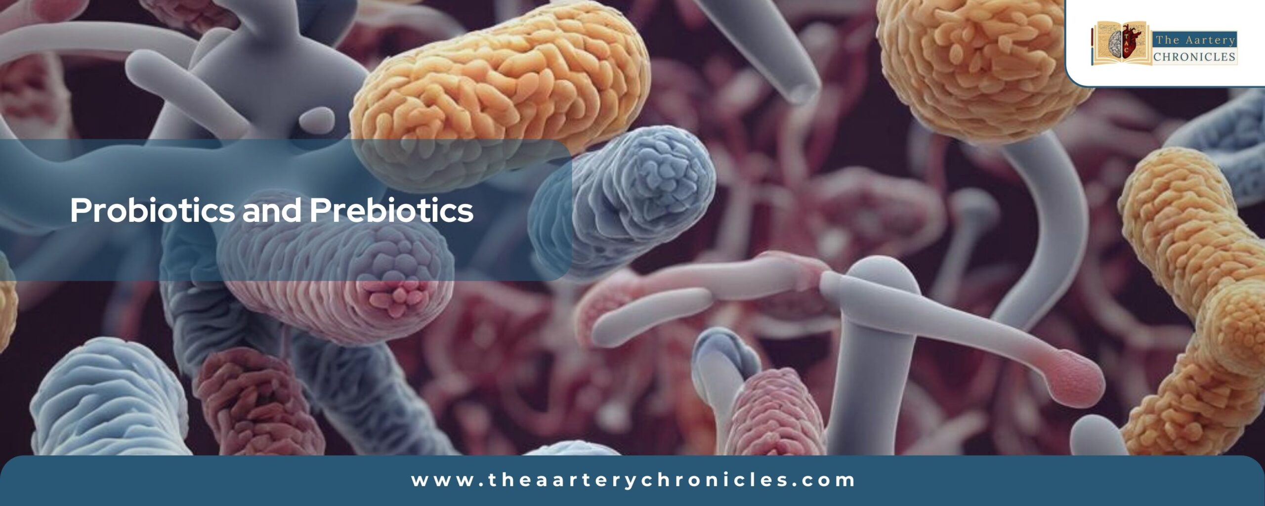 probiotics-and prebiotics-the-aaartery-chronicles-tac