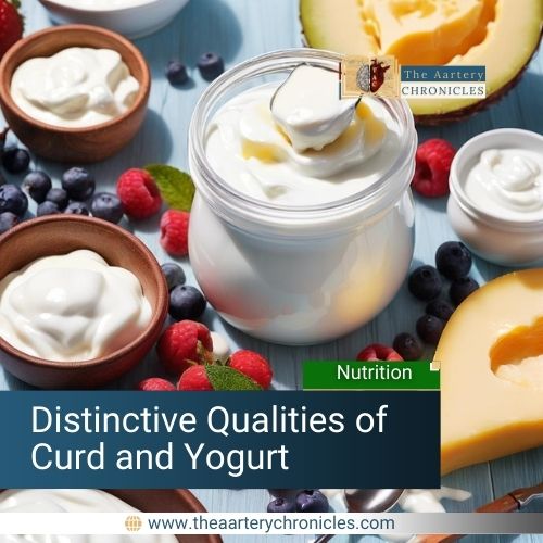 Summer Staples: The Distinctive Qualities of Curd and Yogurt​