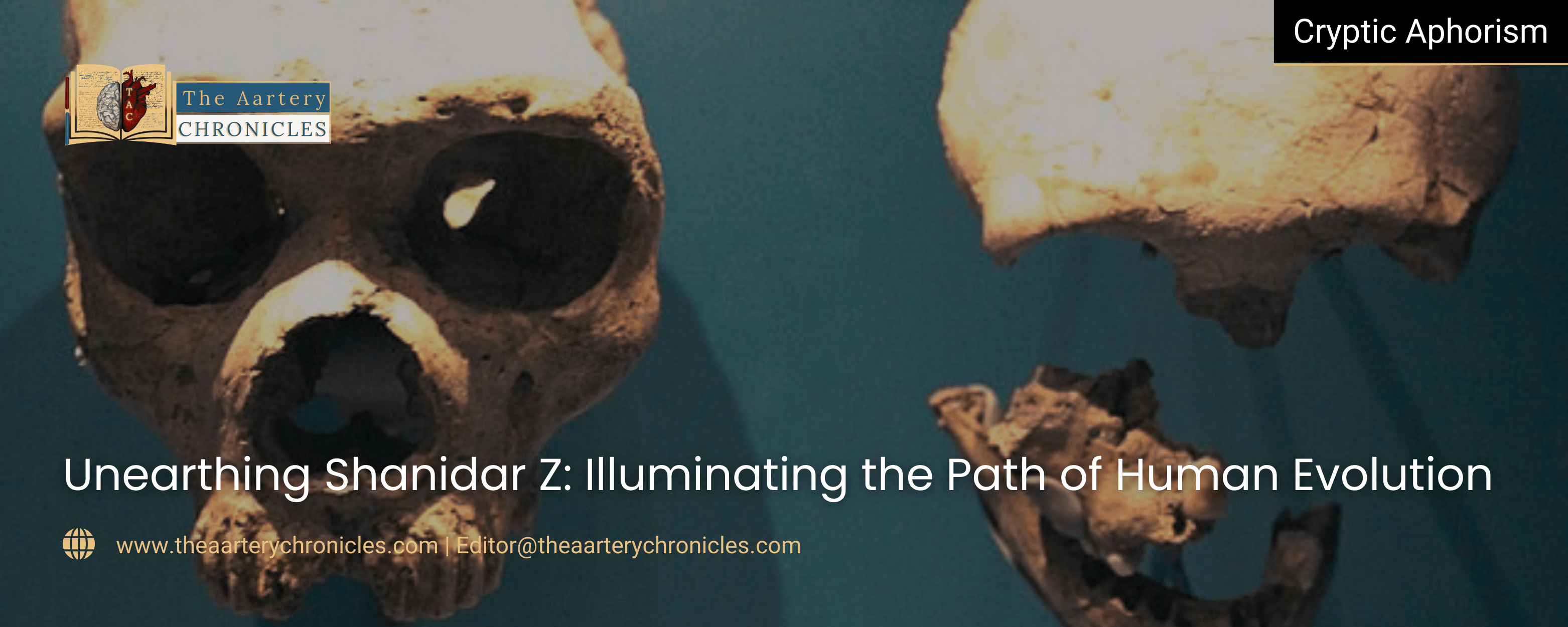 Unearthing Shanidar Z: Illuminating the Path of Human Evolution​