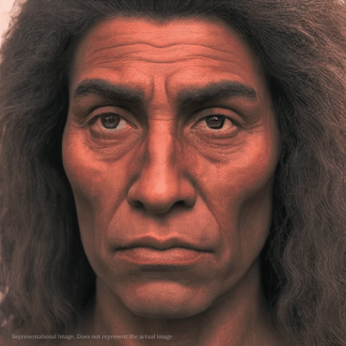 Facial reconstruction Unearthing Shanidar Z: Illuminating the Path of Human Evolution​