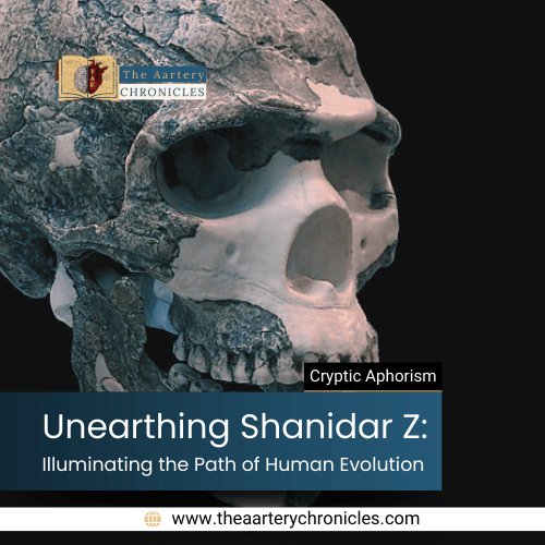 Unearthing Shanidar Z: Illuminating the Path of Human Evolution​