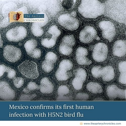 Mexico-confirms-its-first-human-infection-with-H5N2-bird-flu-The-Aartery-Chronicles-TAC