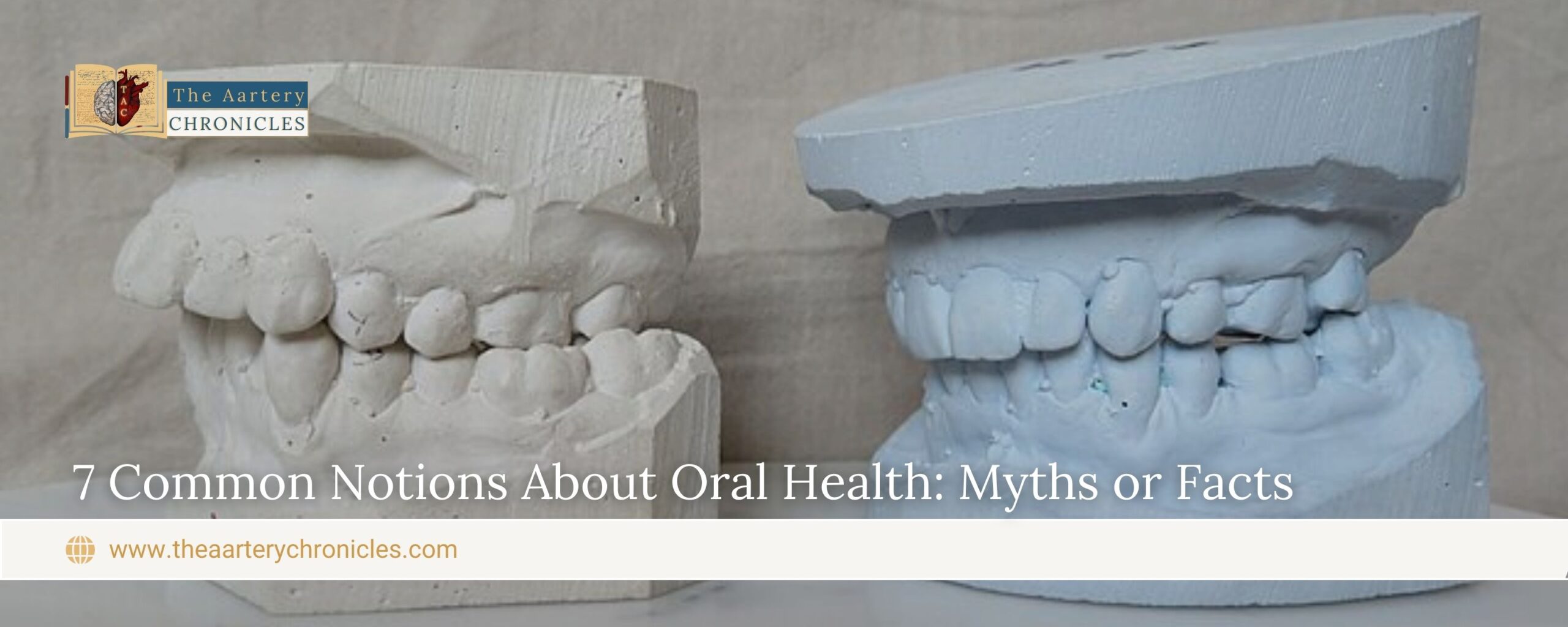 7-Common-Notions-About-Oral-Health:-Myth-or-Fact-The-Aartery-Chronicles-TAC