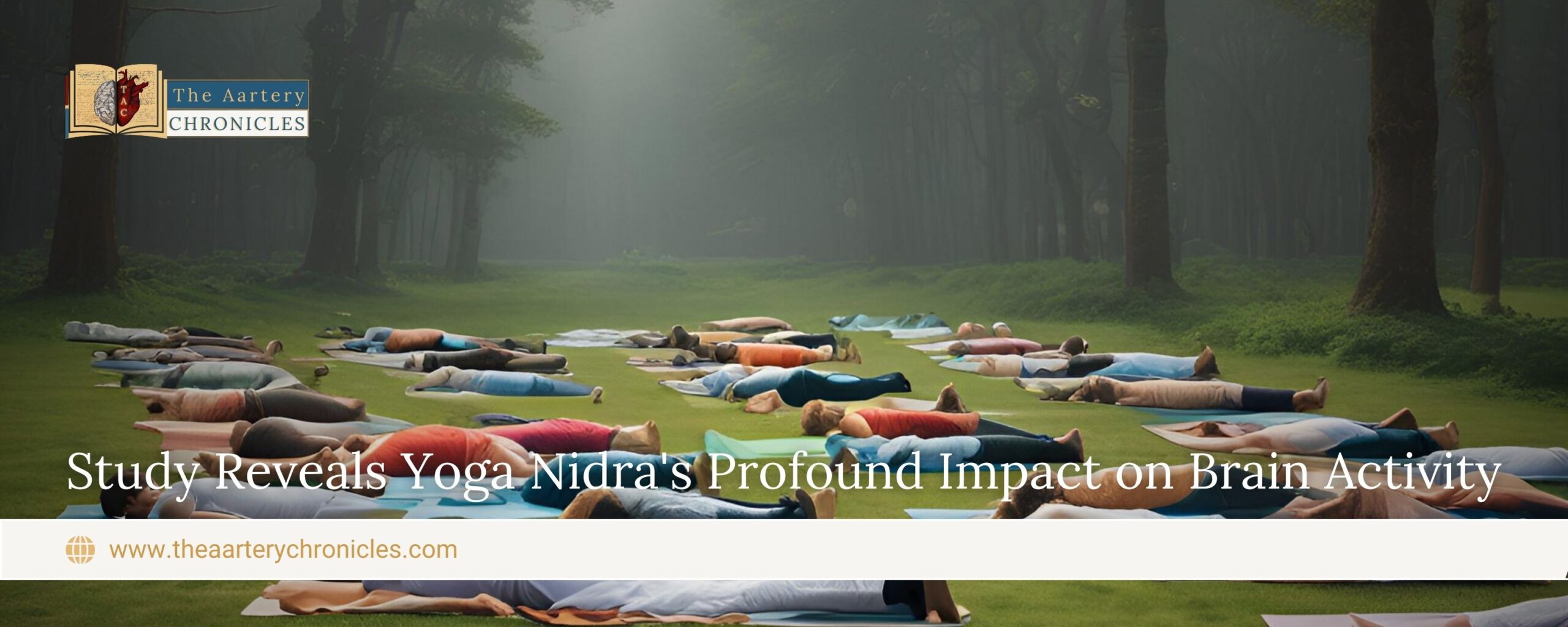 study-reveals-impact-of-yoga-nidra-on-brain-activity-the-aartery-chronicles-tac