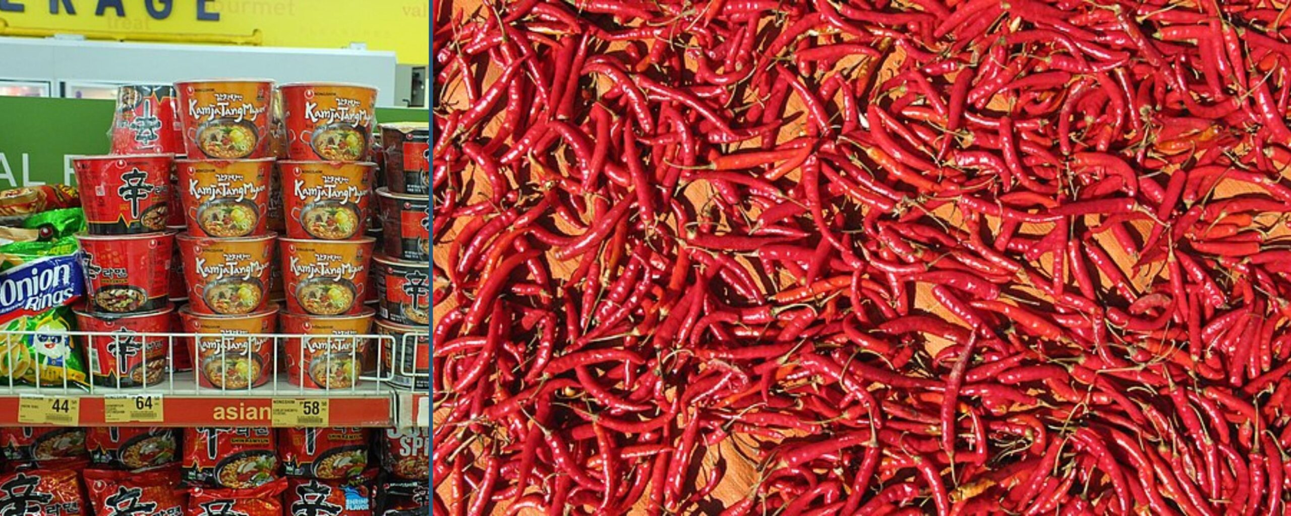 The-Fiery-Fascination:-The-science-of-spicy-foods-The-Aartery-Chronicles-TAC