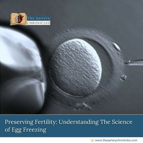 Preserving Fertility: Understanding The Science of Egg Freezing