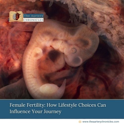 Female Fertility: How Lifestyle Choices Can Influence Your Journey