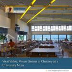 Viral-Video:-Mouse-Swims-in-Chutney-at-a-University-Mess-The-Aartery-Chronicles-TAC