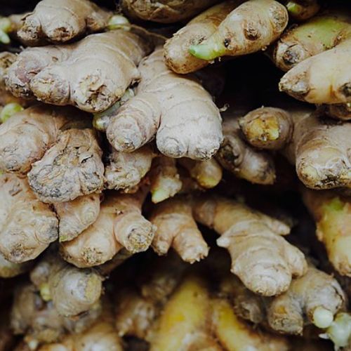 Benefits-Of-Consuming-Ginger-Water-The-Aartery-Chronicles-TAC