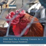 H5N1-Bird-Flu-A Growing-Concern-for-a-Potential-Human-Pandemic-the-aartery-chronicles-tac