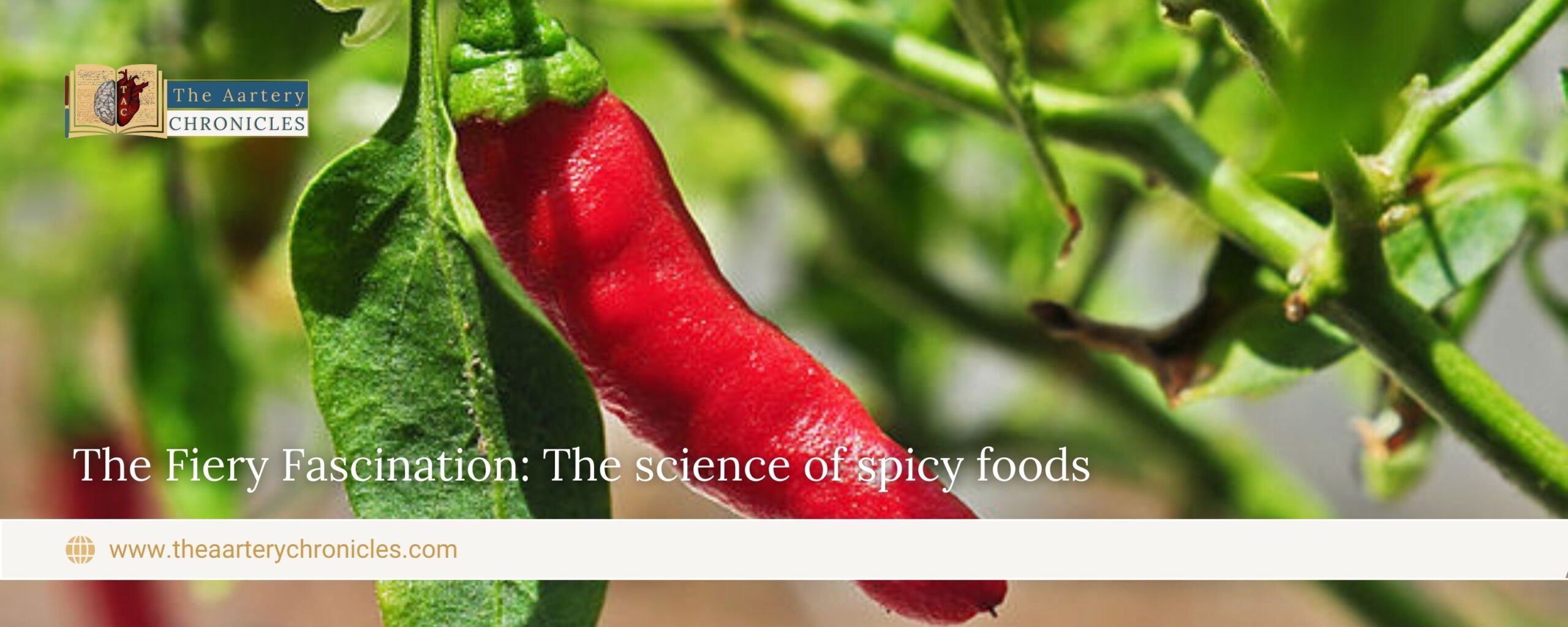 The-Fiery-Fascination:-The-science-of-spicy-foods-The-Aartery-Chronicles-TAC