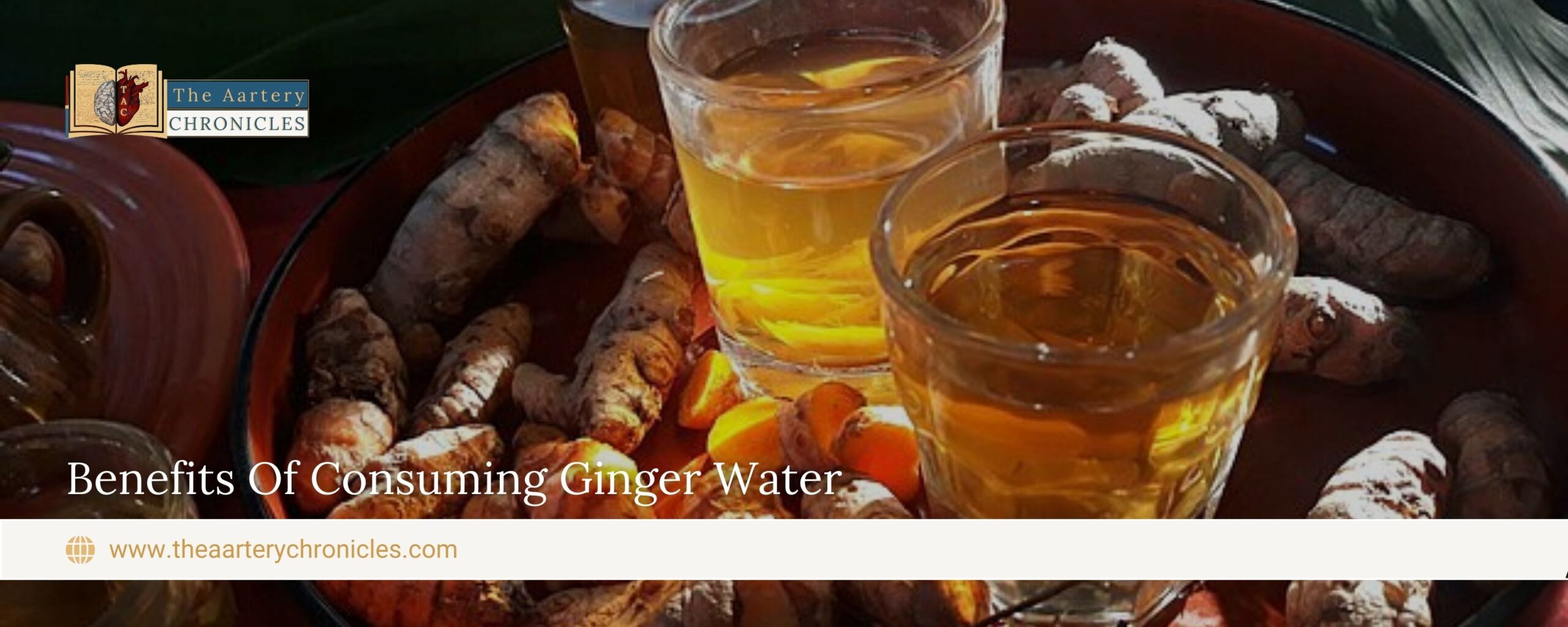 Benefits-Of-Consuming-Ginger-Water-The-Aartery-Chronicles-TAC