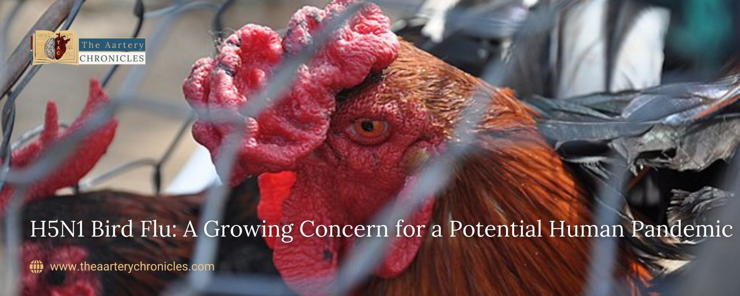 H5N1-Bird-Flu-A Growing-Concern-for-a-Potential-Human-Pandemic-the-aartery-chronicles-tac