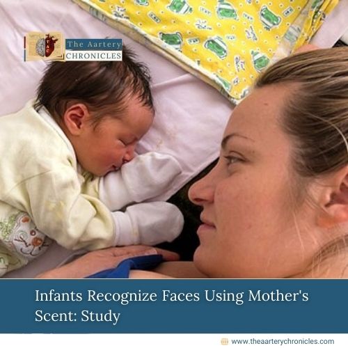 Infants Recognize Faces Using Mother's Scent: Study 
