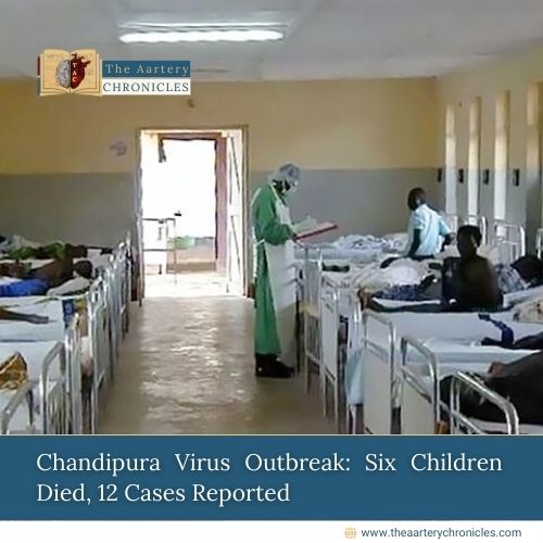 Chandipura Virus Outbreak: 6 Children Died, 12 Cases Reported