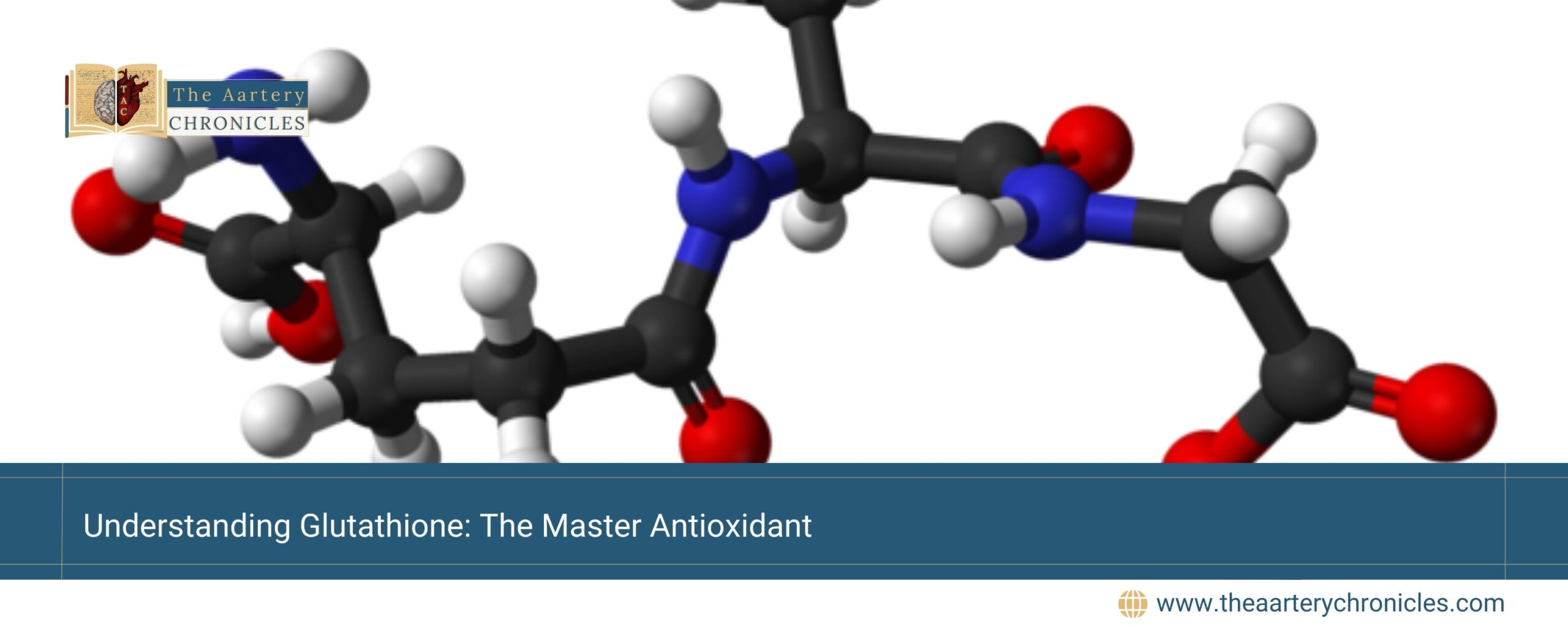 Understanding-Glutathione:-The-Master-Antioxidant-The-Aartery-Chronicles-TAC