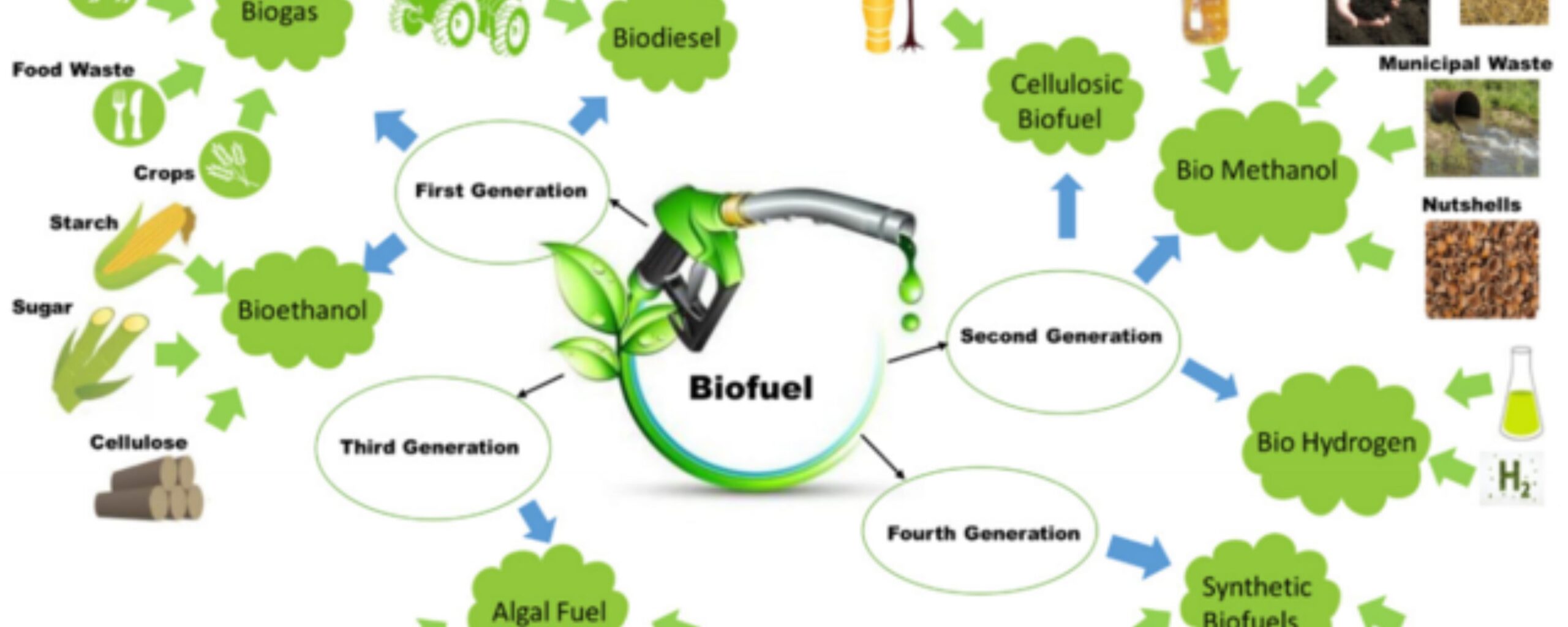 World-Biofuel-Day:-Biofuel-Innovations-and-Advances-The-Aartery-Chronicles-TAC