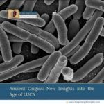 Ancient-Origins:-New-Insights-into-the-Age-of-LUCA-The-Aartery-Chronicles-TAC