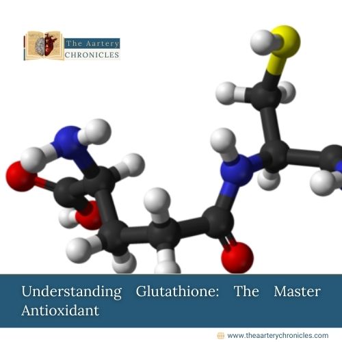 Understanding-Glutathione:-The-Master-Antioxidant-The-Aartery-Chronicles-TAC