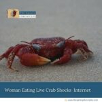 A recent viral video has captured the attention of social media users, showing a woman consuming live crab