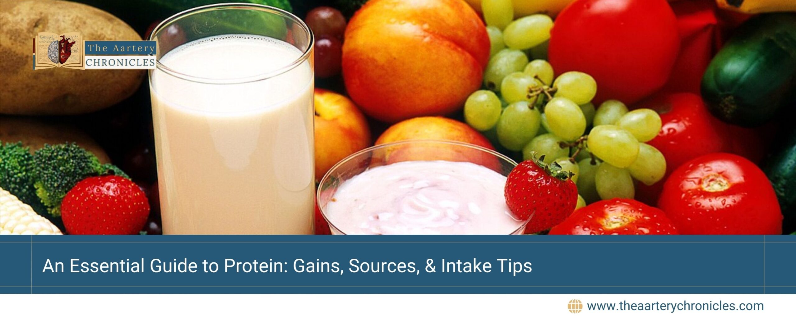 An-Essential-Guide-to-Protein:-Gains,-Sources,-&-Intake-Tips-The-Aartery-Chronicles-TAC