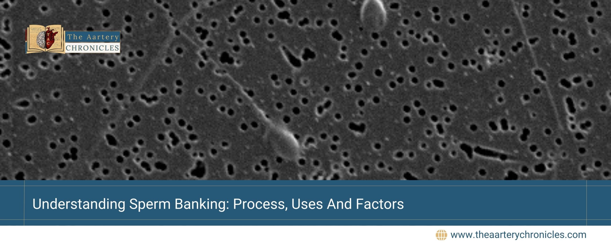 Understanding-Sperm-Banking:-Process,-Uses-And-Factors-The-Aartery-Chronicles-TAC