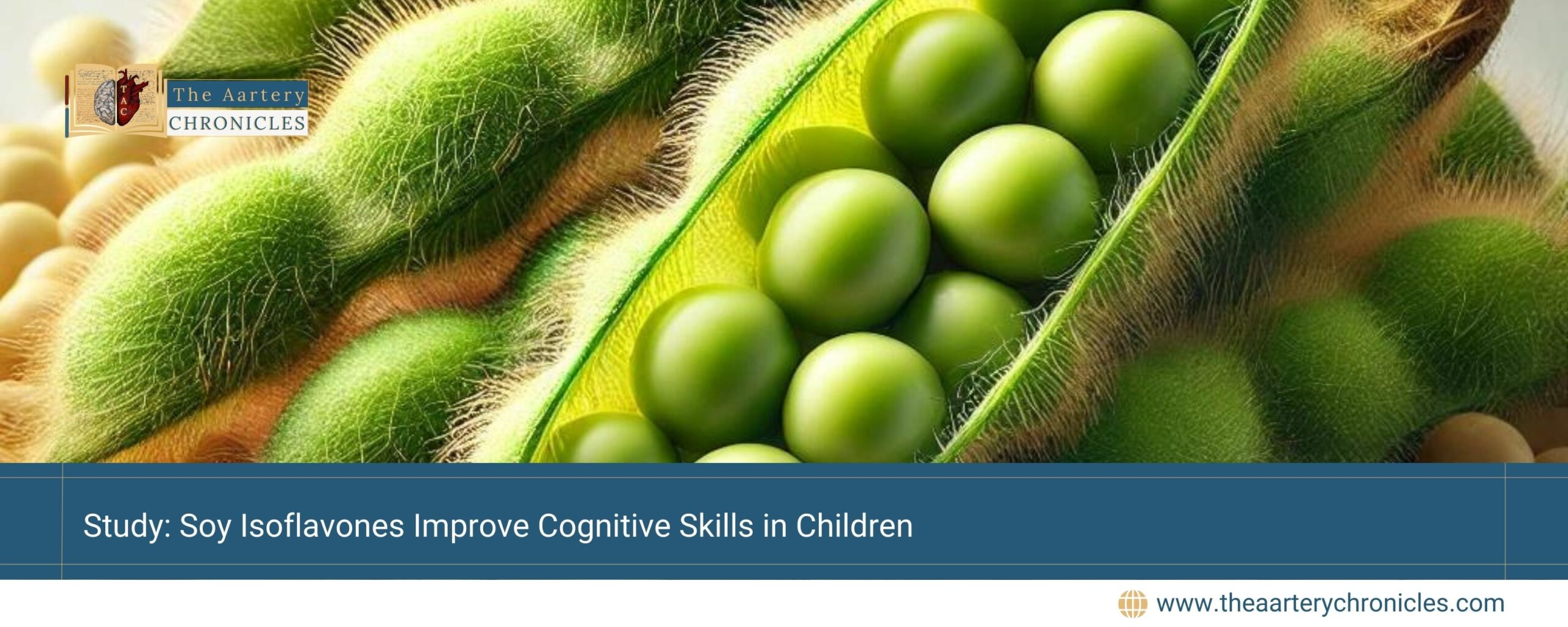 Study-Soy-Isoflavones-Improve-Cognitive-Skills-in-Children-the-aartery-chronicles-tac