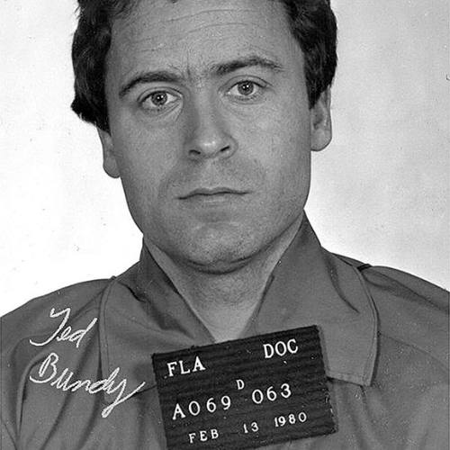 Ted Bundy mug shot, Feb. 13, 1980.