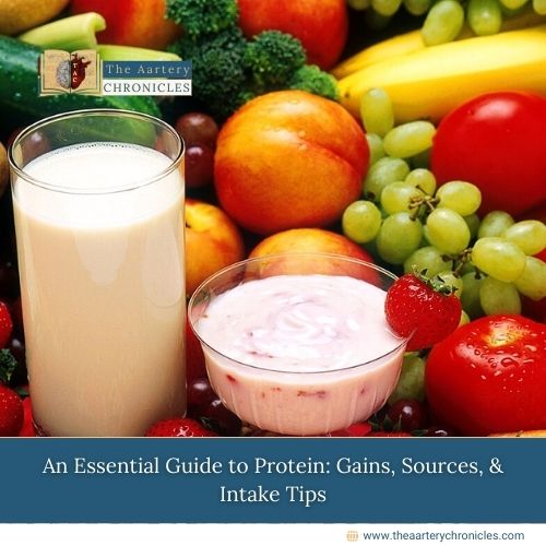 An-Essential-Guide-to-Protein:-Gains,-Sources,-&-Intake-Tips-The-Aartery-Chronicles-TAC