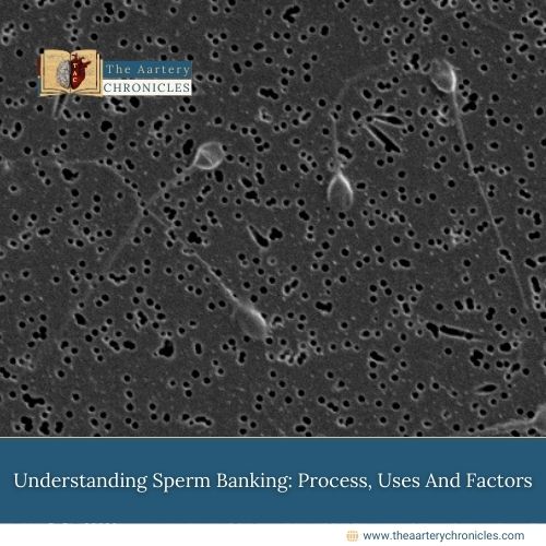 Understanding Sperm Banking: Process, Uses And Factors