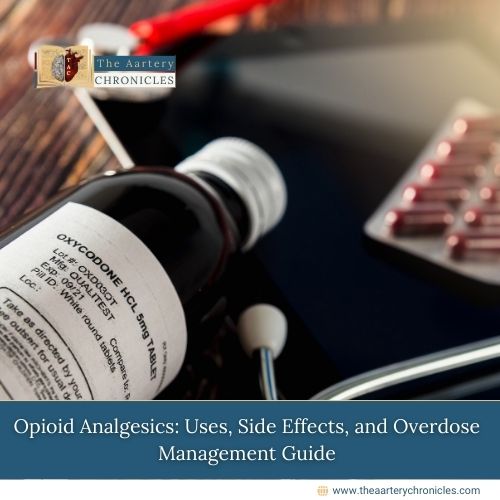 Opioid Analgesics: Uses, Side Effects, and Overdose Management Guide