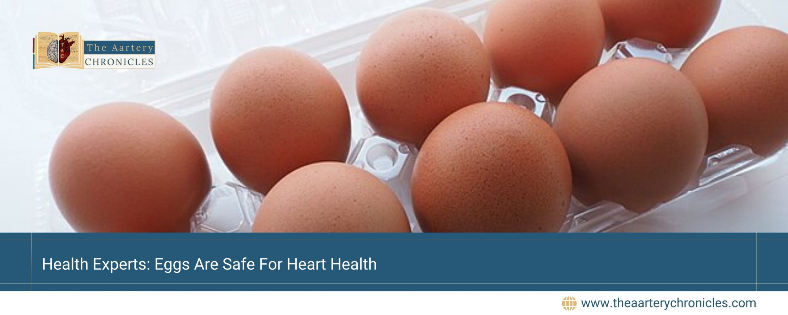 Health-Experts:-Eggs-Are-Safe-For-Heart-Health-The-Aartery-Chronicles-TAC