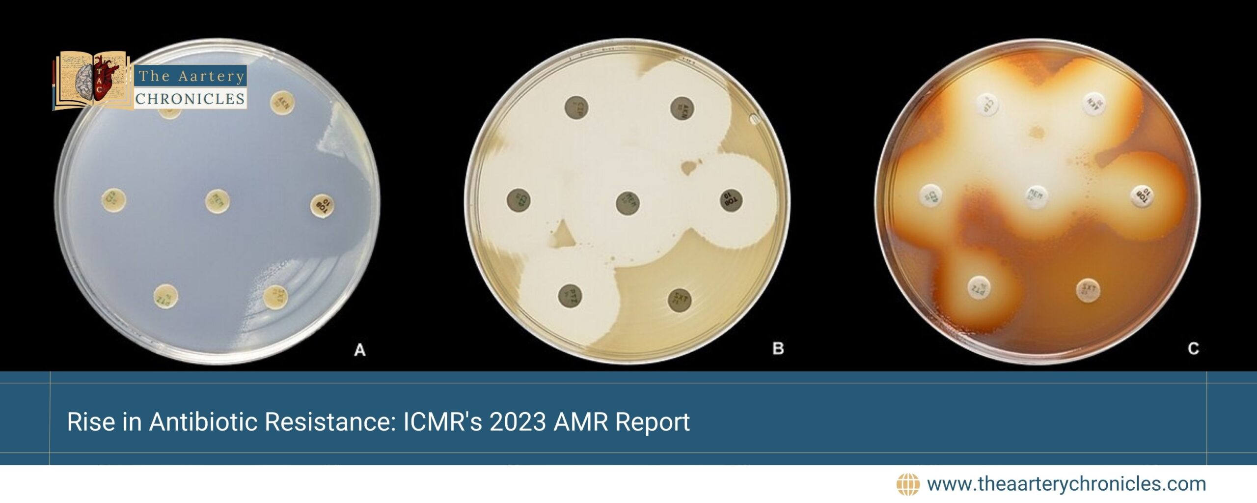 Rise-in-Antibiotic-Resistance:-ICMR's-2023-AMR-Report-The-Aartery-Chronicles-TAC