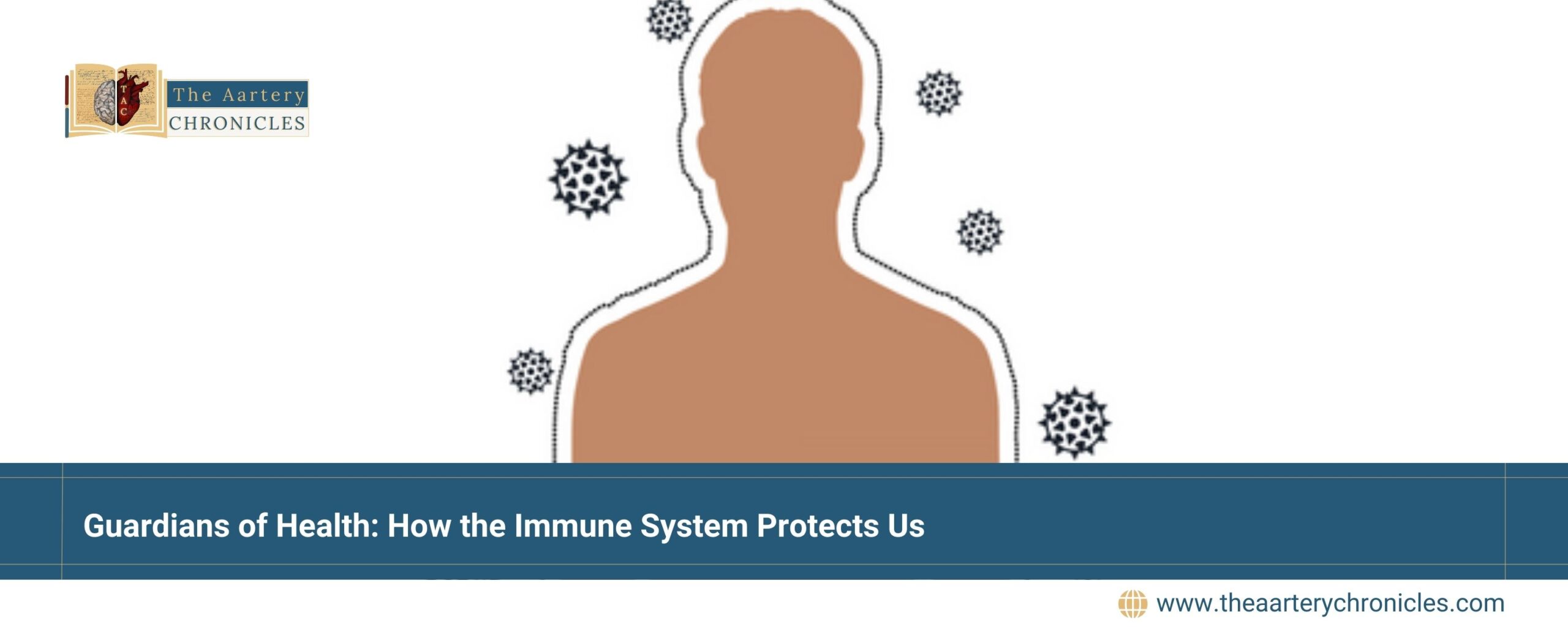 Guardians-of-Health:-How-the-Immune-System-Protects-Us-The-Aartery-Chronicles-TAC