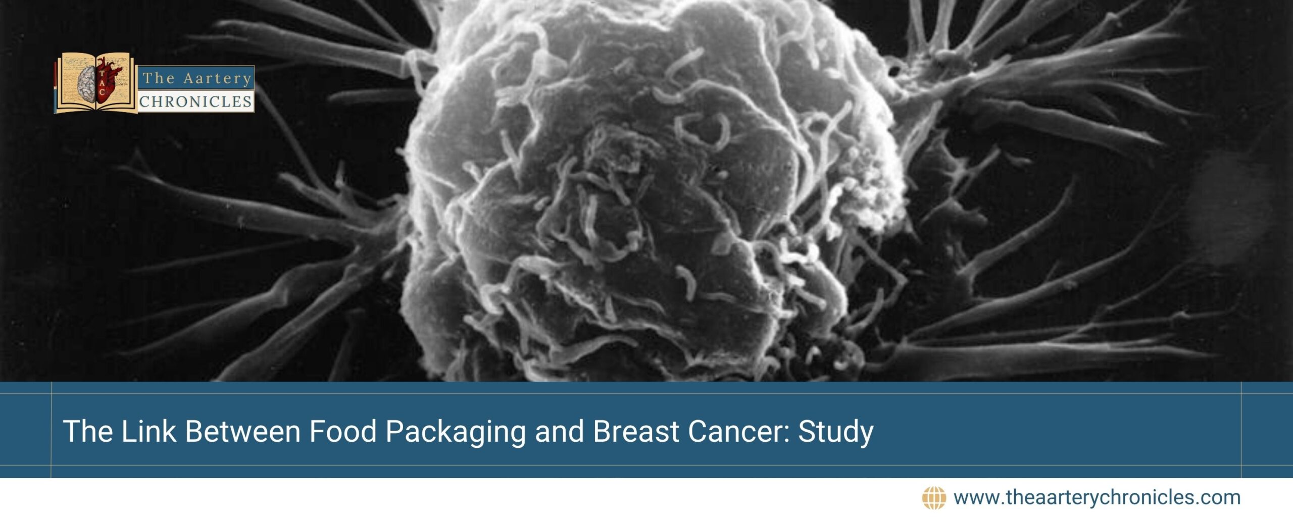 The-Link-Between-Food-Packaging-and-Breast-Cancer:-Study-The-Aartery-Chronicles-TAC