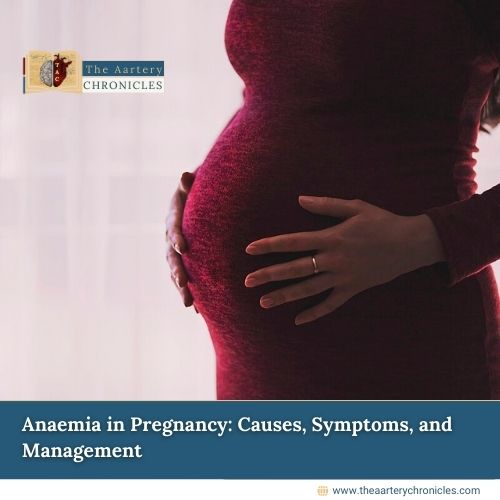 Anaemia-in-Pregnancy:-Causes,-Symptoms,-and-Management-The-Aartery-Chronicles-TAC