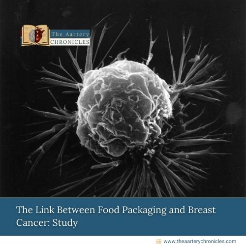 The Link Between Food Packaging and Breast Cancer: Study