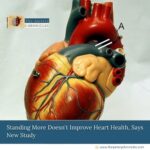 Standing-More-Doesn't-Improve-Heart-Health,-Says-New-Study-The-Aartery-Chronicles-TAC
