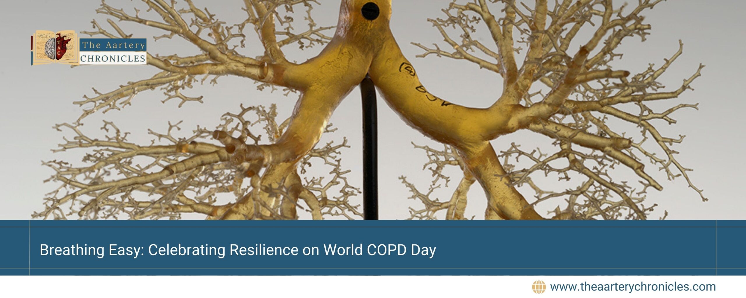 Breathing-Easy:-Celebrating-Resilience-on-World-COPD-Day-The-Aartery-Chronicles-TAC