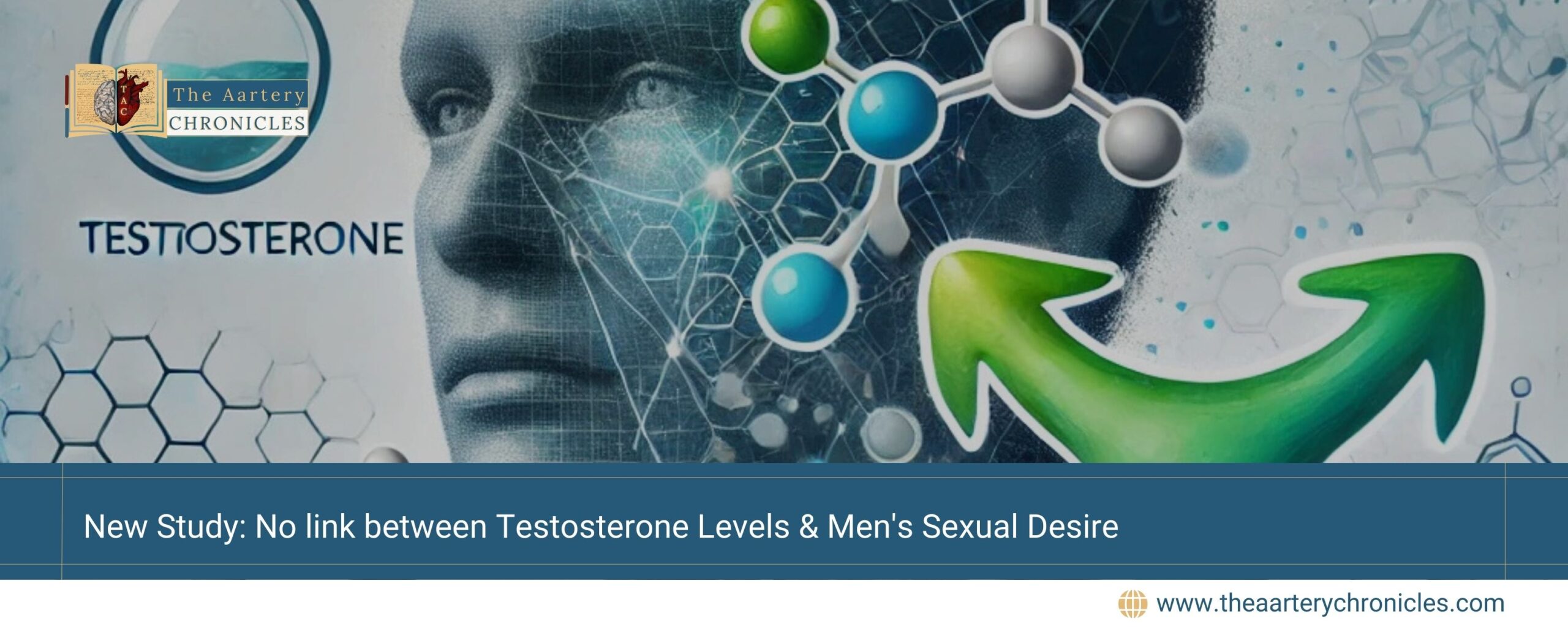 New-Study:-No-link-between-Testosterone-Levels-&-Men's-Sexual-Desire-The-Aartery-Chronicles-TAC