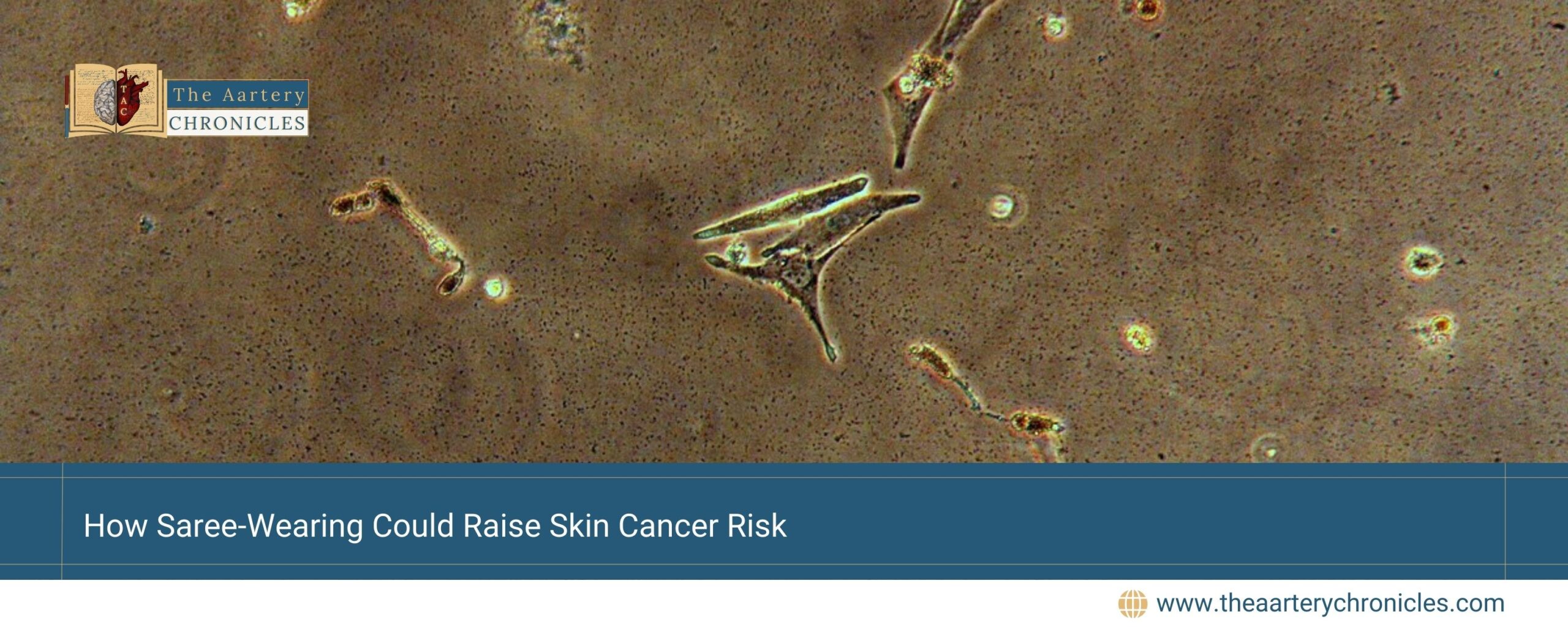 How-Saree-Wearing-Could-Raise-Skin-Cancer-Risk-The-Aartery-Chronicles-TAC