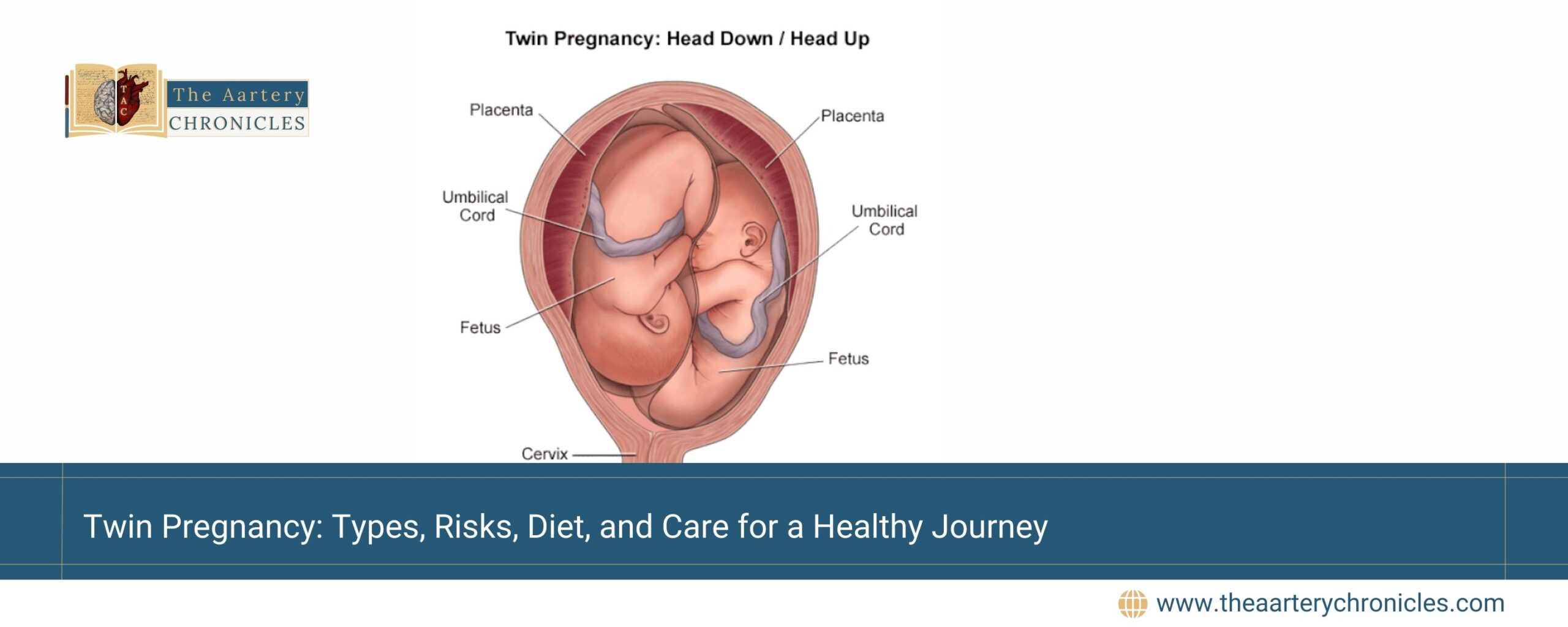 Twin-Pregnancy-Everything-You-Need to-Know-for-a-Healthy-Journey-the-aartery-chronicles-tac