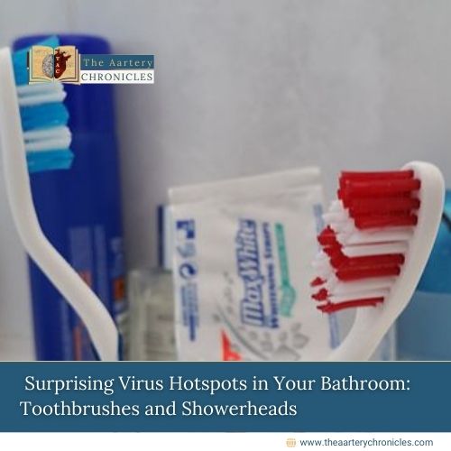 Researchers found that showerheads and toothbrushes host distinct microbial populations