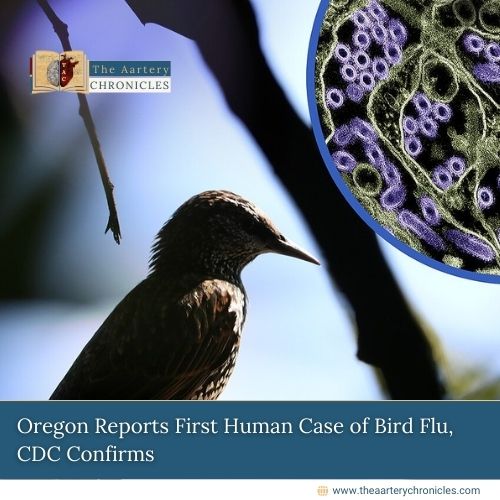 Oregon-Reports-First-Human-Case-of-Bird-Flu,-CDC-Confirms-The-Aartery-Chronicles-TAC