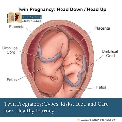 Twin-Pregnancy-Everything-You-Need to-Know-for-a-Healthy-Journey-the-aartery-chronicles-tac