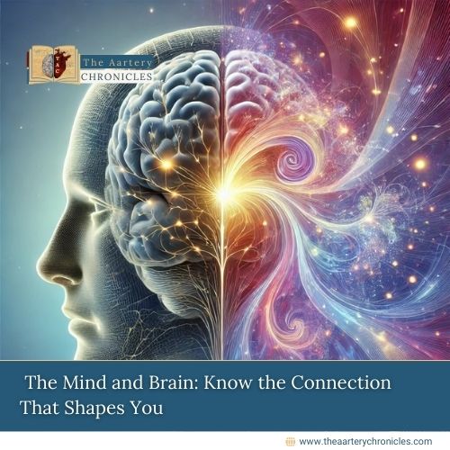 The Mind and Brain: Know the Connection That Shapes You